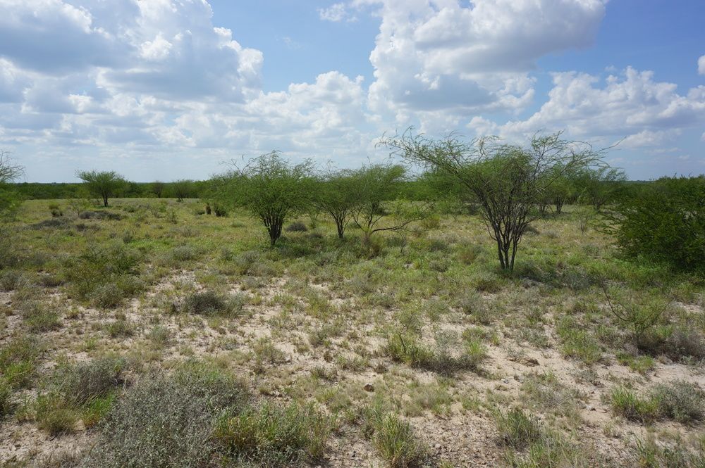 Ranch Land with Minerals: Ranch Rd 7918B, Laredo, TX 78046